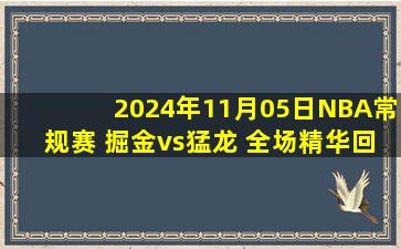 2024年11月05日NBA常规赛 掘金vs猛龙 全场精华回放